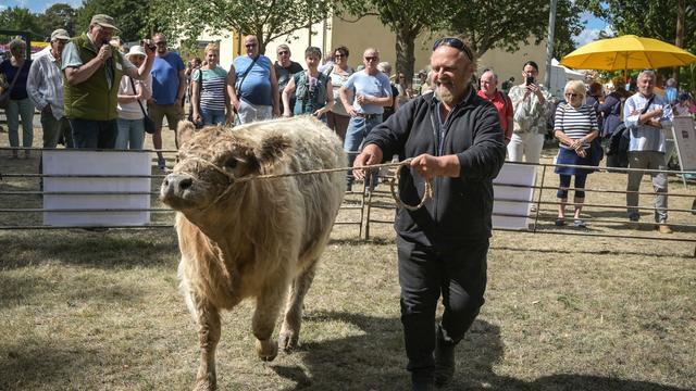 Tradition: Historisches Erntefest mit Tieren, Dampfpflug und Erntekorso
