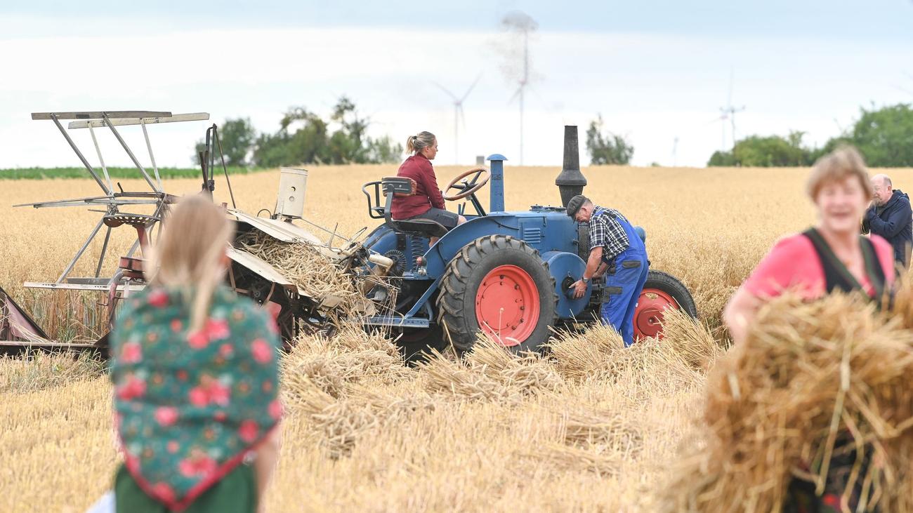 Tradition: Historisches Erntefest mit Dampfpflug und Erntekorso