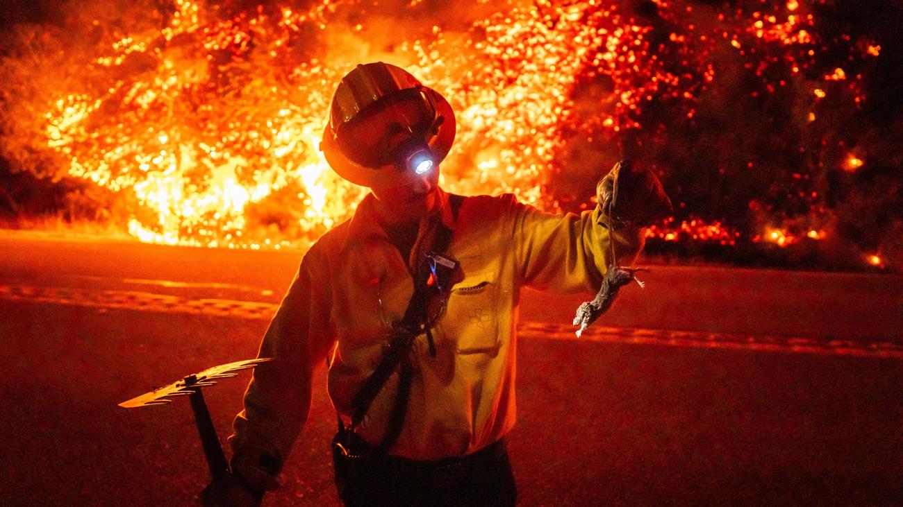 Waldbrände in den USA: Touri-Hotspot: Kalifornien-Küstenstraße wegen Brand gesperrt