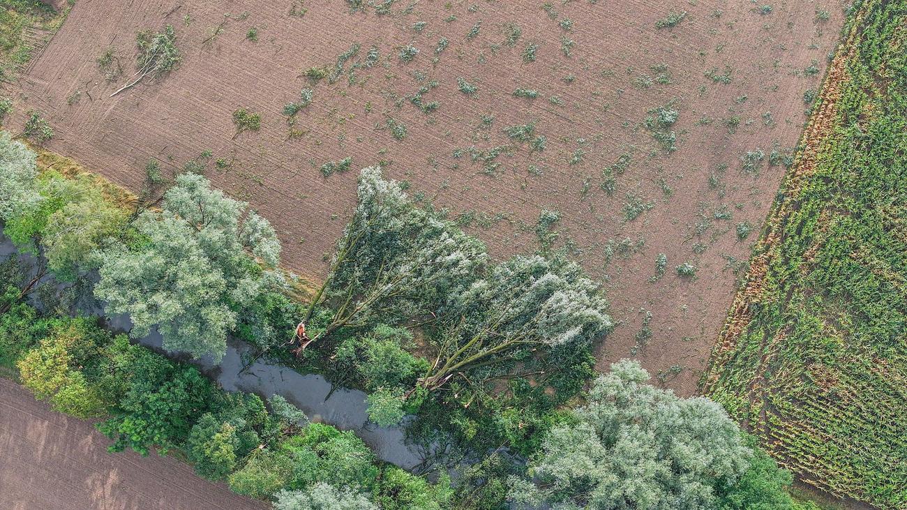 Hagel, Wind und Regen: Unwetter trifft Landwirte und Winzer - massive Ernteverluste