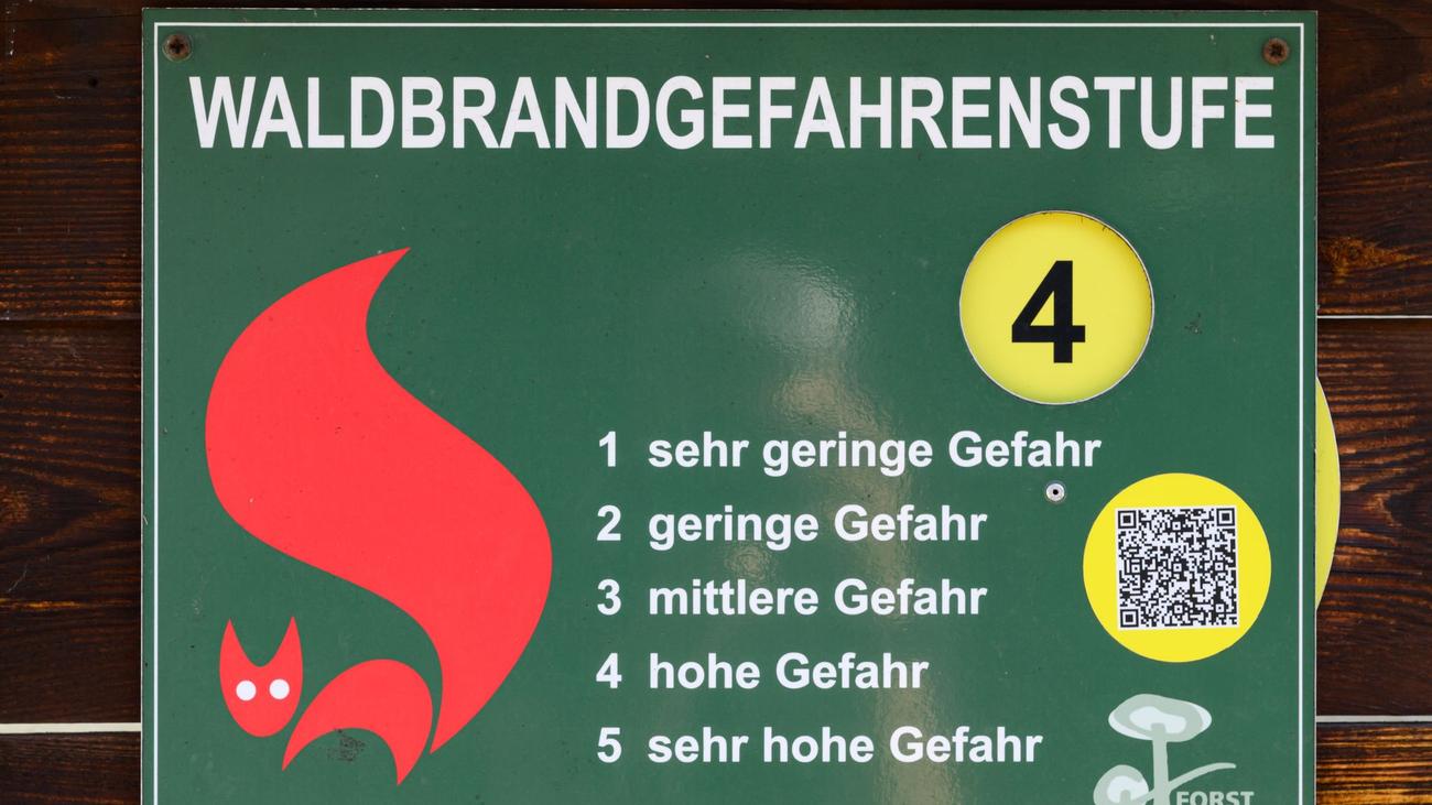 Nur leichte Entspannung: Waldbrandgefahr bleibt in Brandenburg stellenweise hoch
