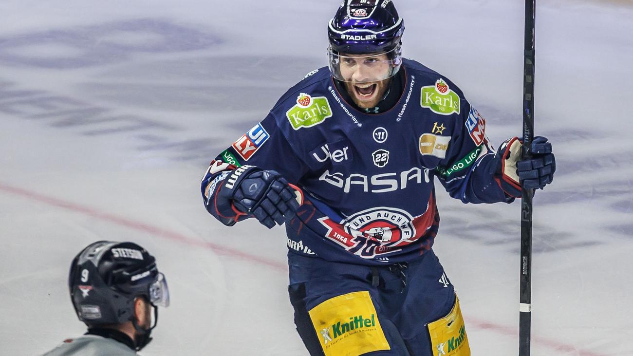 Deutsche Eishockey Liga: Eisbären Berlin gewinnen Test gegen Lausitzer Füchse mit 3:1