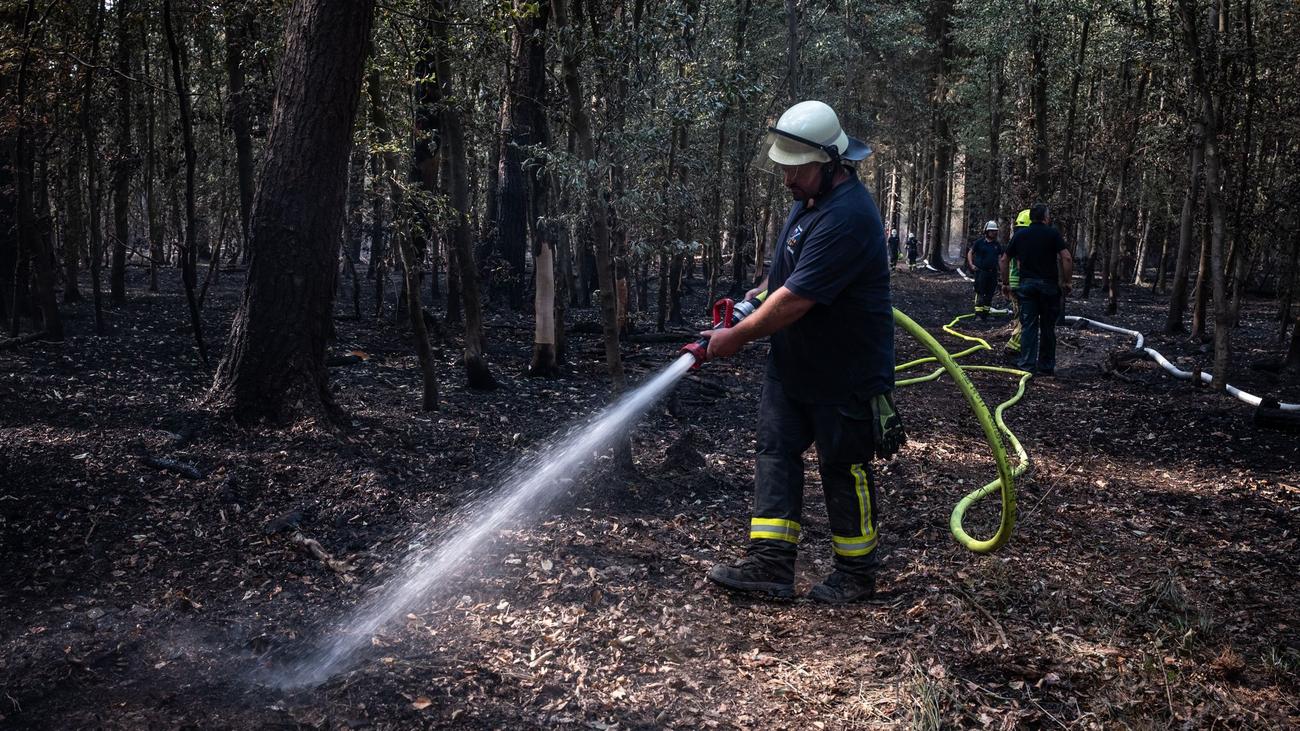 Land prüft Möglichkeiten: Satelliten sollen Waldbrände in NRW schneller aufspüren