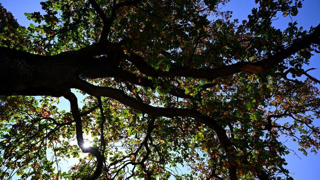 Wetter in Bayern: Hier wird es windig im Freistaat