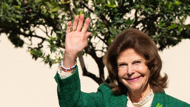 Sweden’s Queen Silvia to visit Lake Constance island in October