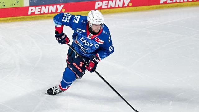 Deutsche Eishockey Liga: «Ganz oben mitspielen»: Adler planen nächsten Titelangriff