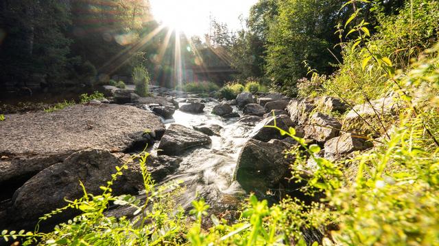 Bild: Wetteraussichten: Herbststart mit Sonne satt: So warm bleibt es im Südwesten