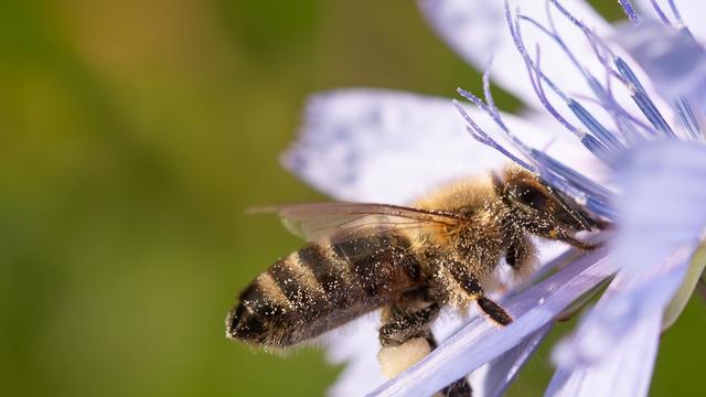 Bild: Wetterbericht: Sommerwetter im Herbst - wann über 30 Grad erwartet werden