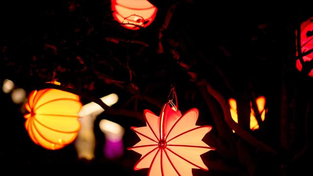 Kultur: Acht Wochen Lichtblütenfestival im Landesnorden