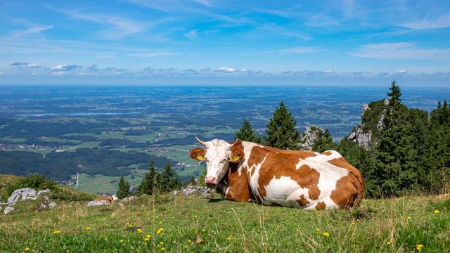 Wochenend-Wetter: An diesem Tag herrscht Ausflugswetter