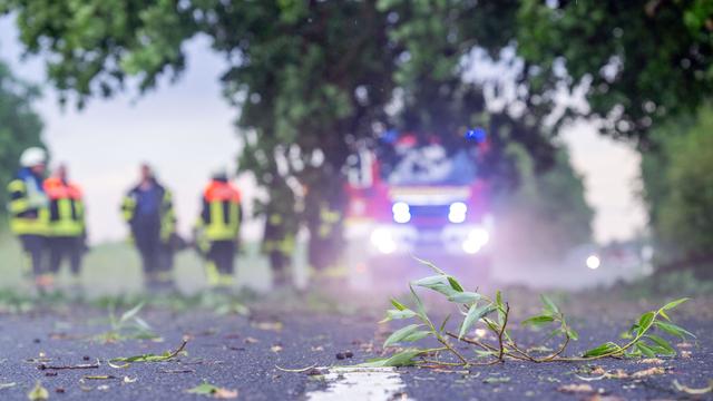 Wetter: Böen bringen Bäume zu Fall - viele Feuerwehreinsätze