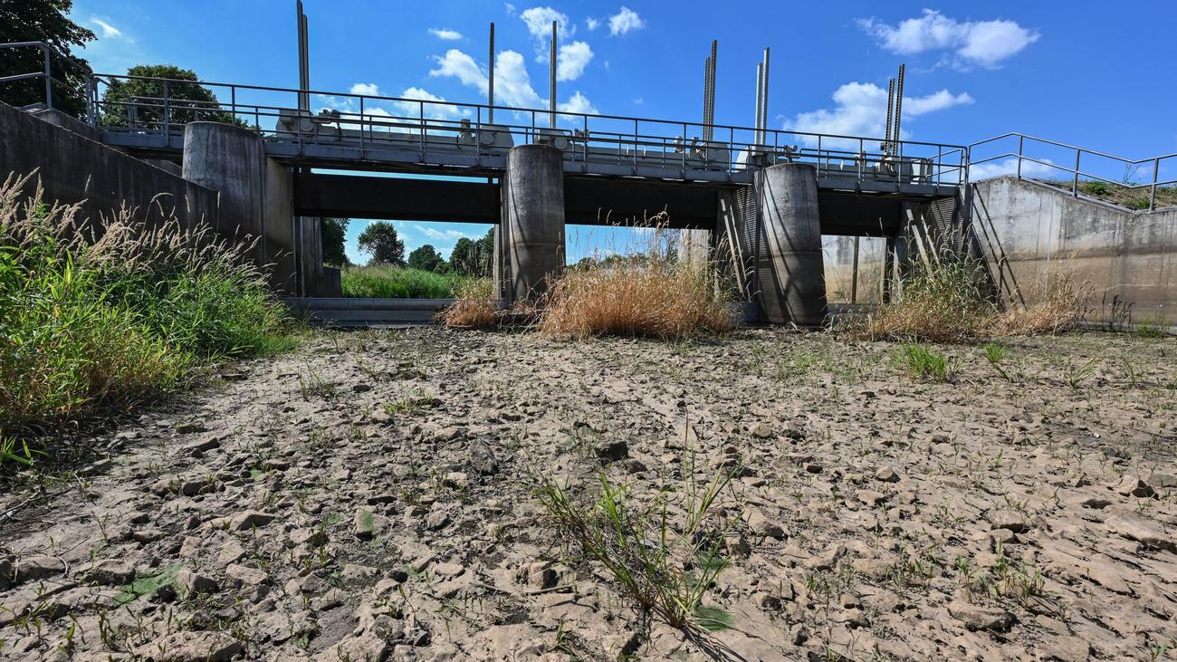 Rising Temperatures, Not Lack of Rain, Driving Germany's Water Deficit, Researchers Warn