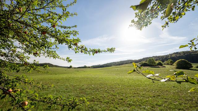 Wetter am Wochenende: Ist der Sommer zurück? Wo es bald schon wieder heiß wird