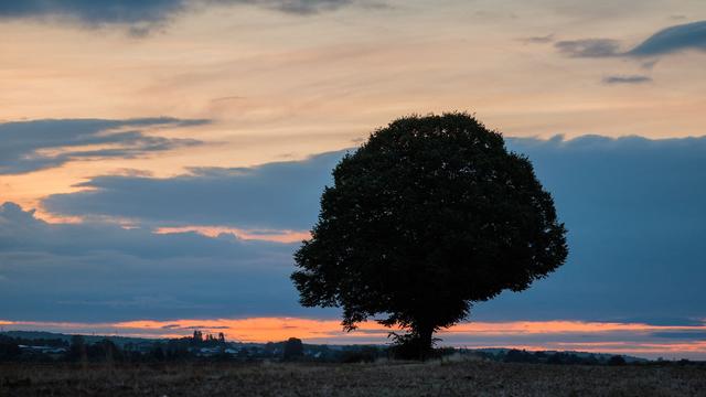 Bild: Warm, dann wechselhaft: Bis zu 32 Grad in Rheinland-Pfalz - Sommer-Endspurt?