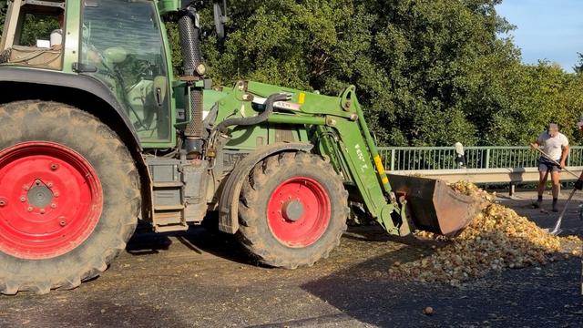 Rutschige Zwiebeln: Landwirt verliert Zwiebeln auf Straße: Motorradfahrer stürzt