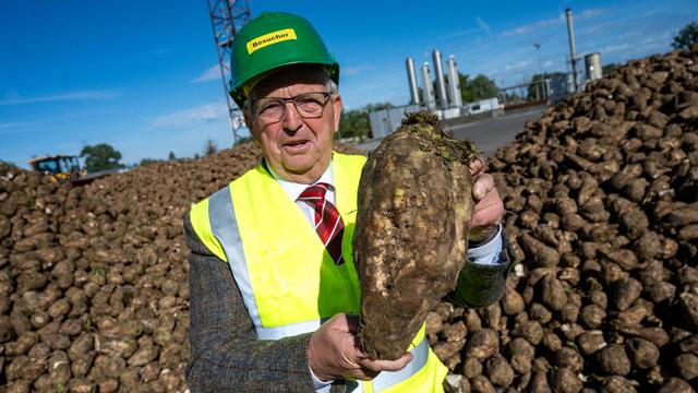 Landwirtschaft: Rübenkampagne: Minister erwartet gutes Ergebnis in MV