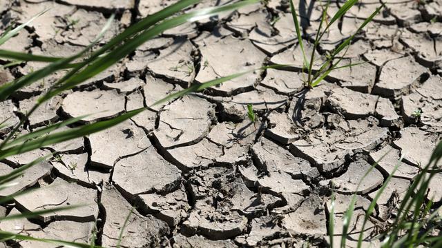 Wasserversorgung: Sinkendes Grundwasser setzt Wäldern und Trinkwasser zu