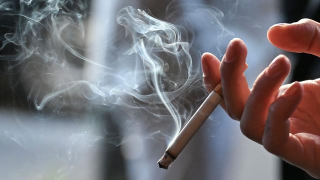Bild: Rauchen und Unfruchtbarkeit: WHO: Rauchen senkt Chancen auf Schwangerschaft