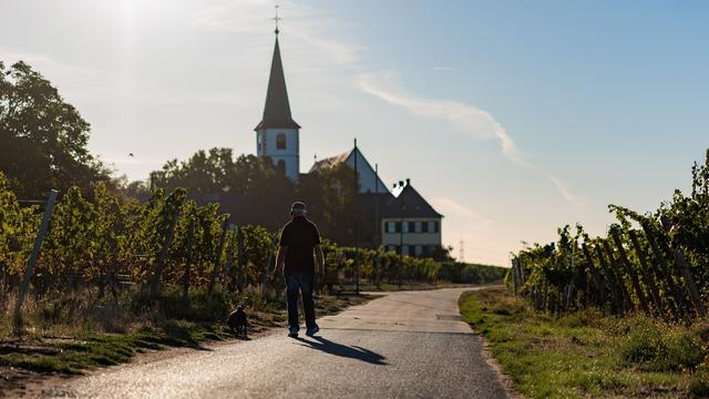 Wetter: Abkühlung zur Wochenmitte: Maximal 23 Grad erwartet