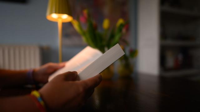 Literatur: «Die Auster»: Krimi und Gesellschaftsporträt