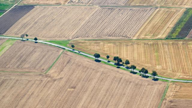Trotz Regens: Trockenheit laut Landesamt bisher nicht nachhaltig gemildert