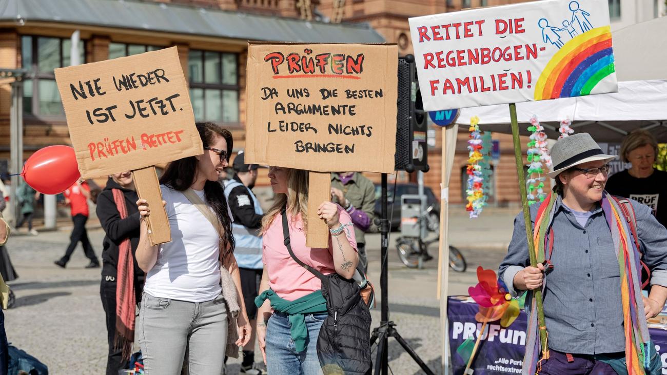 Bundesweite Protestreihe: Demonstranten in Schwerin fordern Überprüfung der AfD