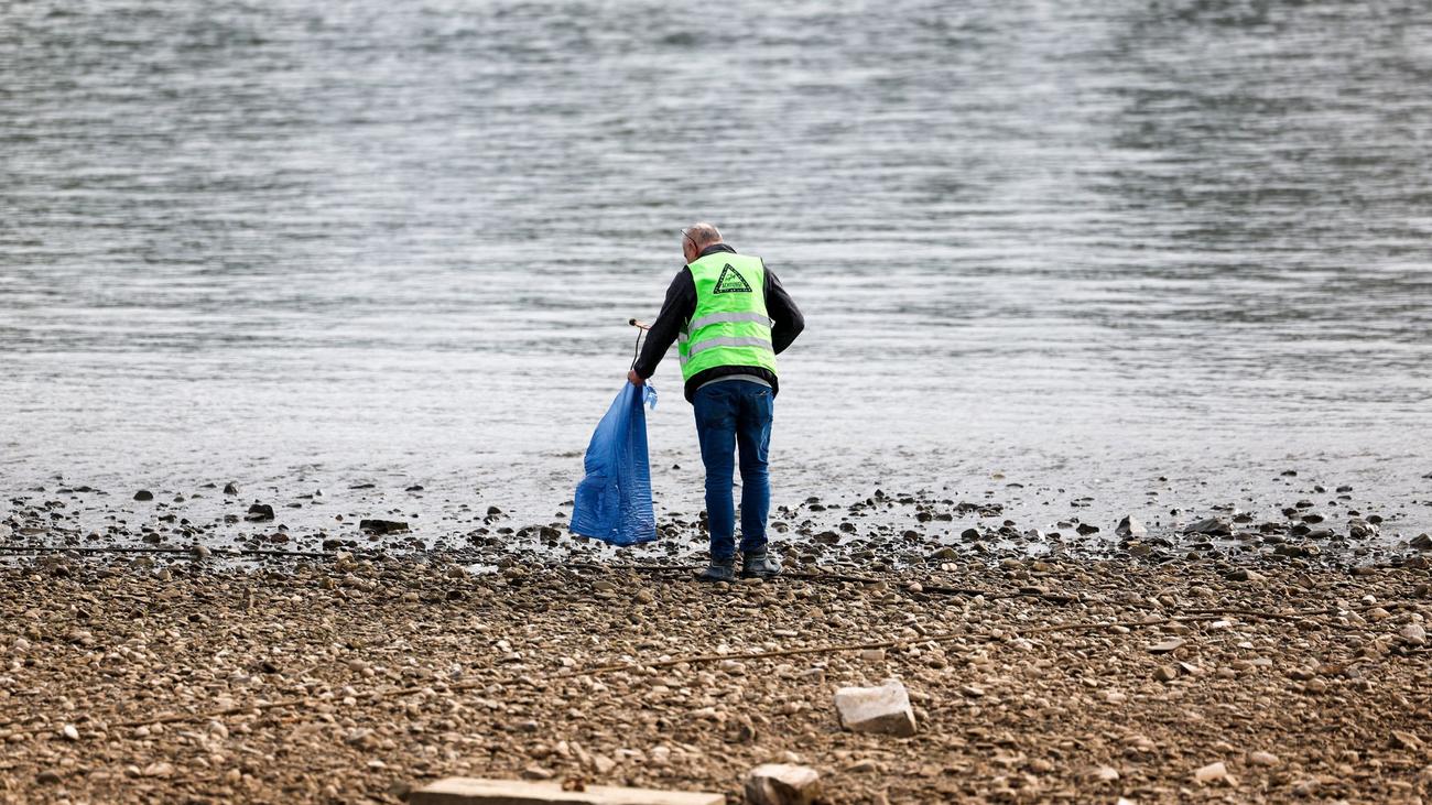 Jährliche Aktion: Freiwillige befreien bei «Rhine Clean Up» Flussufer von Müll