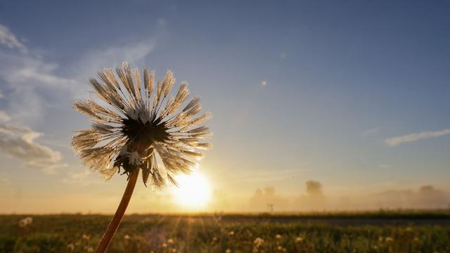 Fotografie: Bilder des Tages
