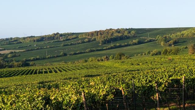 Wettervorhersage: Erst Sonne und bis 28 Grad - dann Regen in der neuen Woche