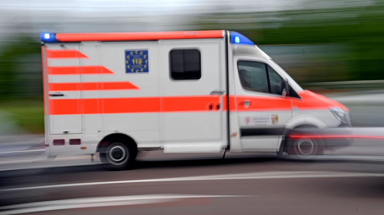 Unfall: Pferd rennt mit Kutsche davon - 62-Jähriger schwer verletzt