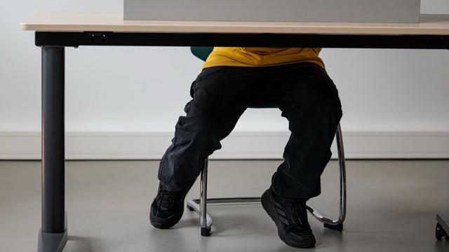 Vor der Landtagswahl: AfD und Linke vorn bei U16-Wahl in MV