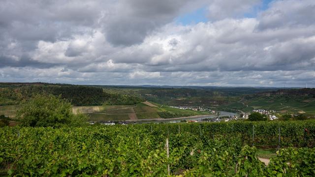 Wetteraussichten: Auf Sommertag folgen trübe Aussichten