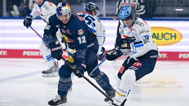 Eishockey: Saisonstart in der DEL: Bayerns Eishockey-Teams im Check