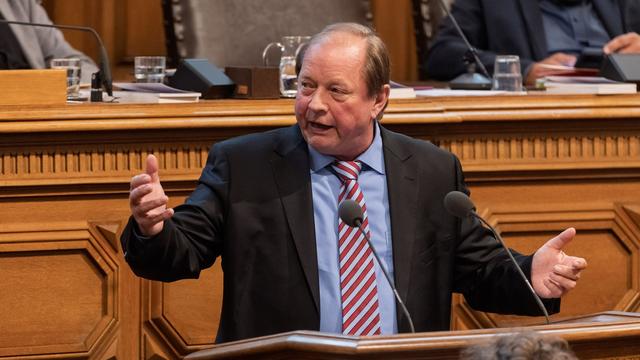 Nach Wahl in Sachsen-Anhalt: AfD attackiert andere Fraktionen in Bürgerschaft