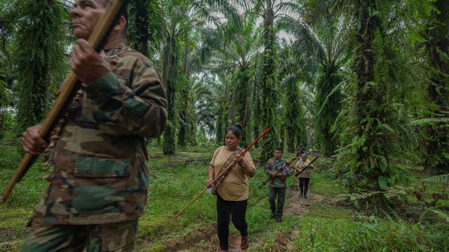 Mehr als 100 Menschen getötet: Lateinamerika bleibt gefährlichste Region für Umweltschützer