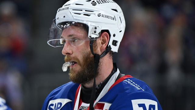 Bild: Deutsche Eishockey Liga: Mannheimer Titelsehnsucht: Adler nehmen nächsten Anlauf