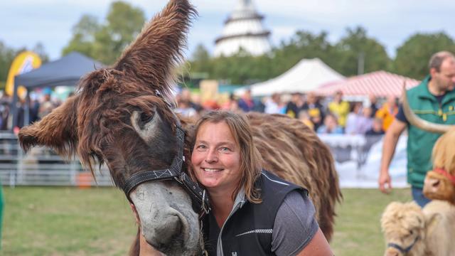 Agrarschau in Magdeburg: Landeserntedankfest lockt 26.000 Besucher nach Magdeburg