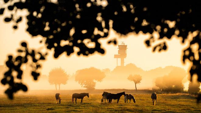 Wettervorhersage: Der Spätsommer nimmt noch einmal so richtig Anlauf.