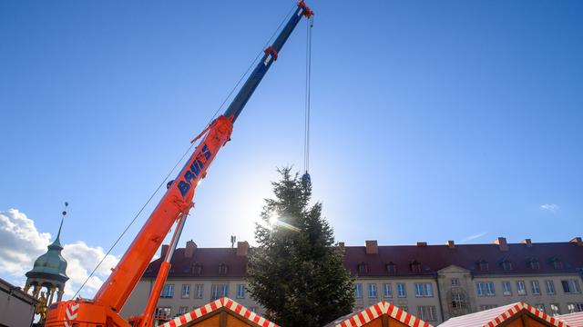 Magdeburg: Einst im Trabi, nun auf dem Weihnachtsmarkt - Tanne zieht um