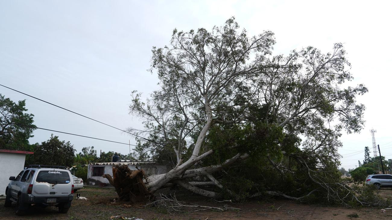 Unwetter: Hurrikan «Polo» trifft in Mexiko zweimal auf Land