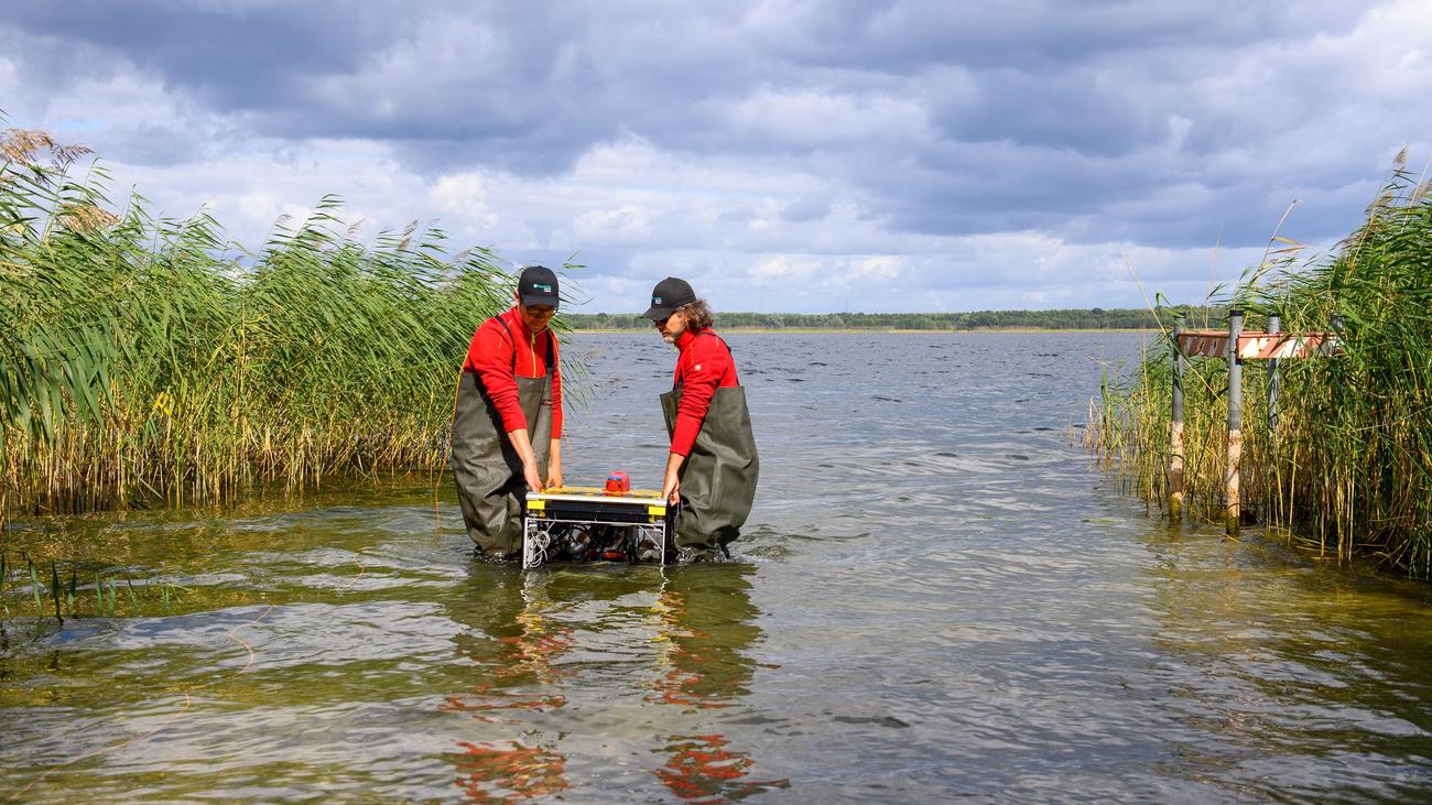 Unterwasserarchäologie: Rätselhafte 10.500 Jahre alte Hölzer im Arendsee entdeckt