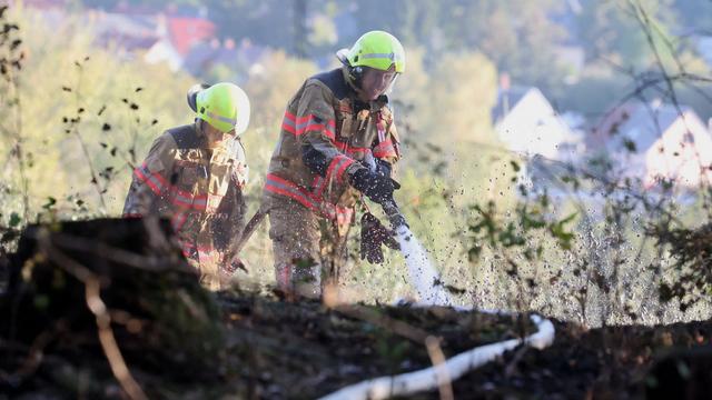 Brände: Ursache für Waldbrand unklar - Suche nach Glutnestern
