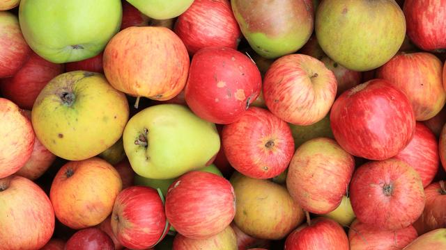 Diebstahl am Feldweg: 400 Kilo Äpfel gestohlen – Polizei sucht Diebe