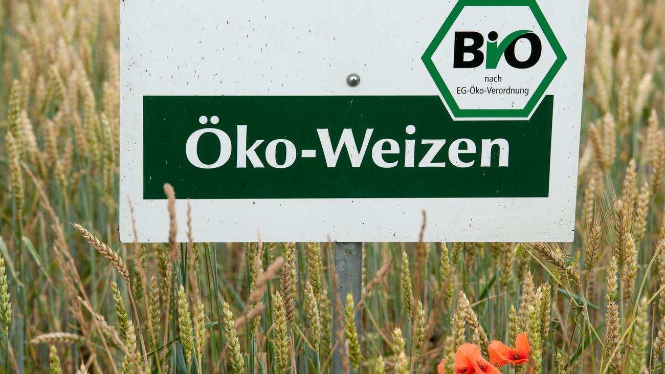 Agrar: Fast 5.000 Höfe setzen auf ökologische Landwirtschaft