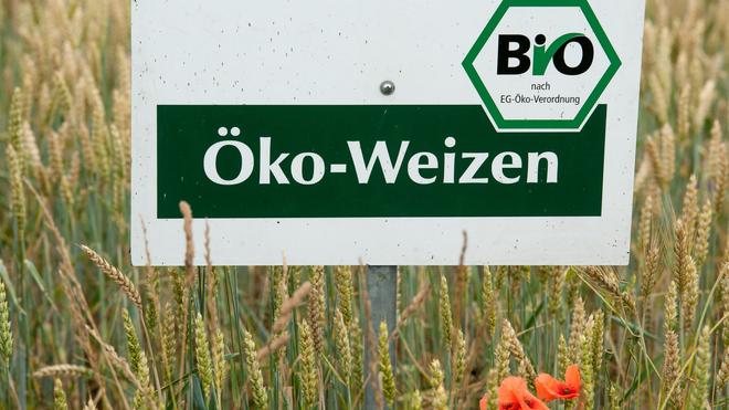  Öko-Landbau gewinnt im Südwesten an Bedeutung. (Archivbild)