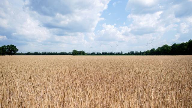 Landeserntedankfest: Bauernverband: Explodierende Kosten sind existenzbedrohend