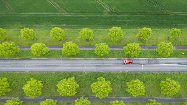 Verkehr: Hessen schärft Kriterien für alleiniges Autofahren mit 17