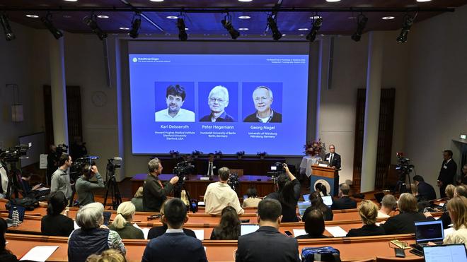  Der Nobelpreis für Medizin geht in diesem Jahr an die beiden Deutschen Peter Hegemann und Georg Nagel sowie den US-Forscher Karl Deisseroth.