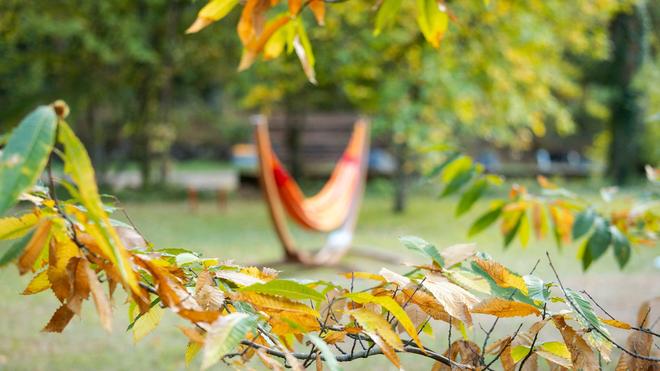 Vorhersage: Es wird herbstlich im Saarland. (Archivbild)