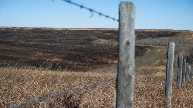 Unglück in Kanada: Feuerinferno auf Militärbasis: 19 Verletzte in Lebensgefahr